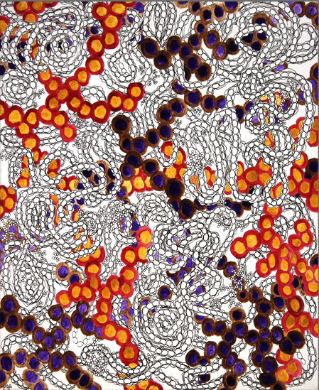 Guinea Pigz Intestinez